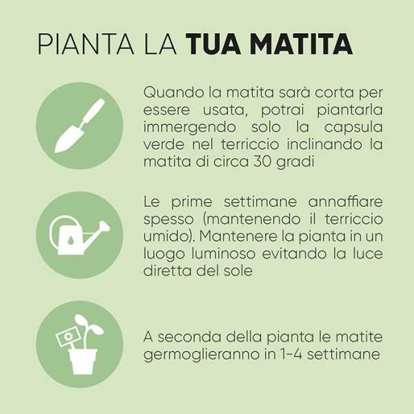 Pomodoro legno sostenibile ? 0,7xh18 Personalizzato | Prezzi Ingrosso