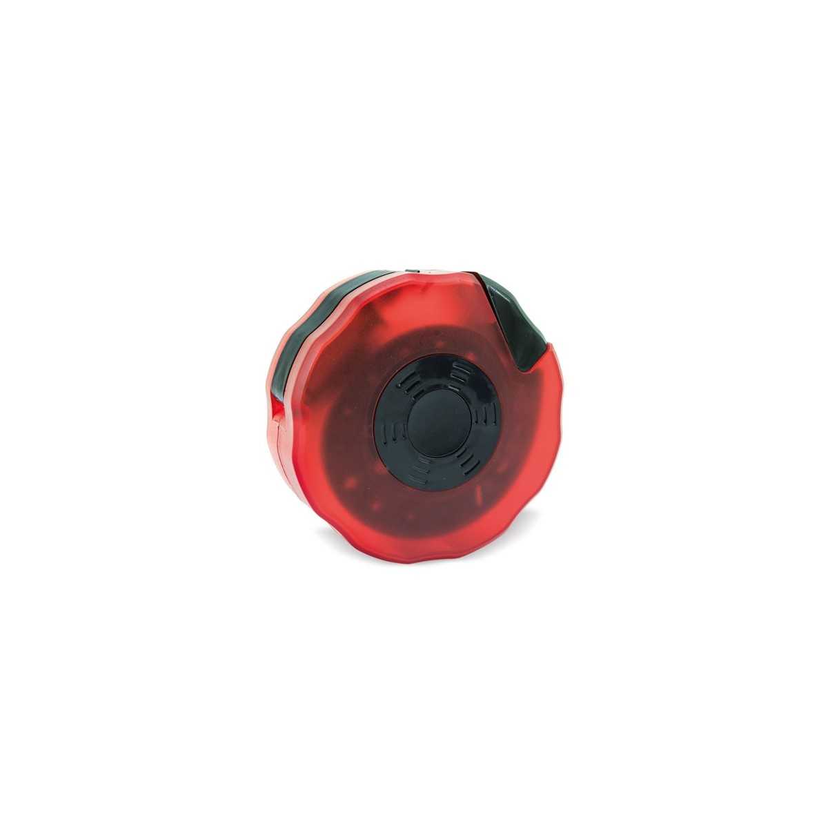 B-541 Personalizzato | Prezzi Ingrosso