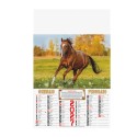 B043 - CALENDARIO CAVALLI