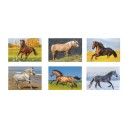 B043 - CALENDARIO CAVALLI