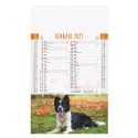 B077 - CALENDARIO CANI E GATTI
