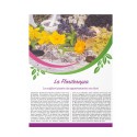 B085 - Calendario Fiori