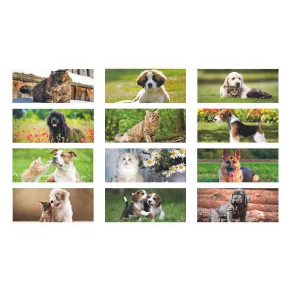 H012 CALENDARIO DA TAVOLO CANI E GATTI