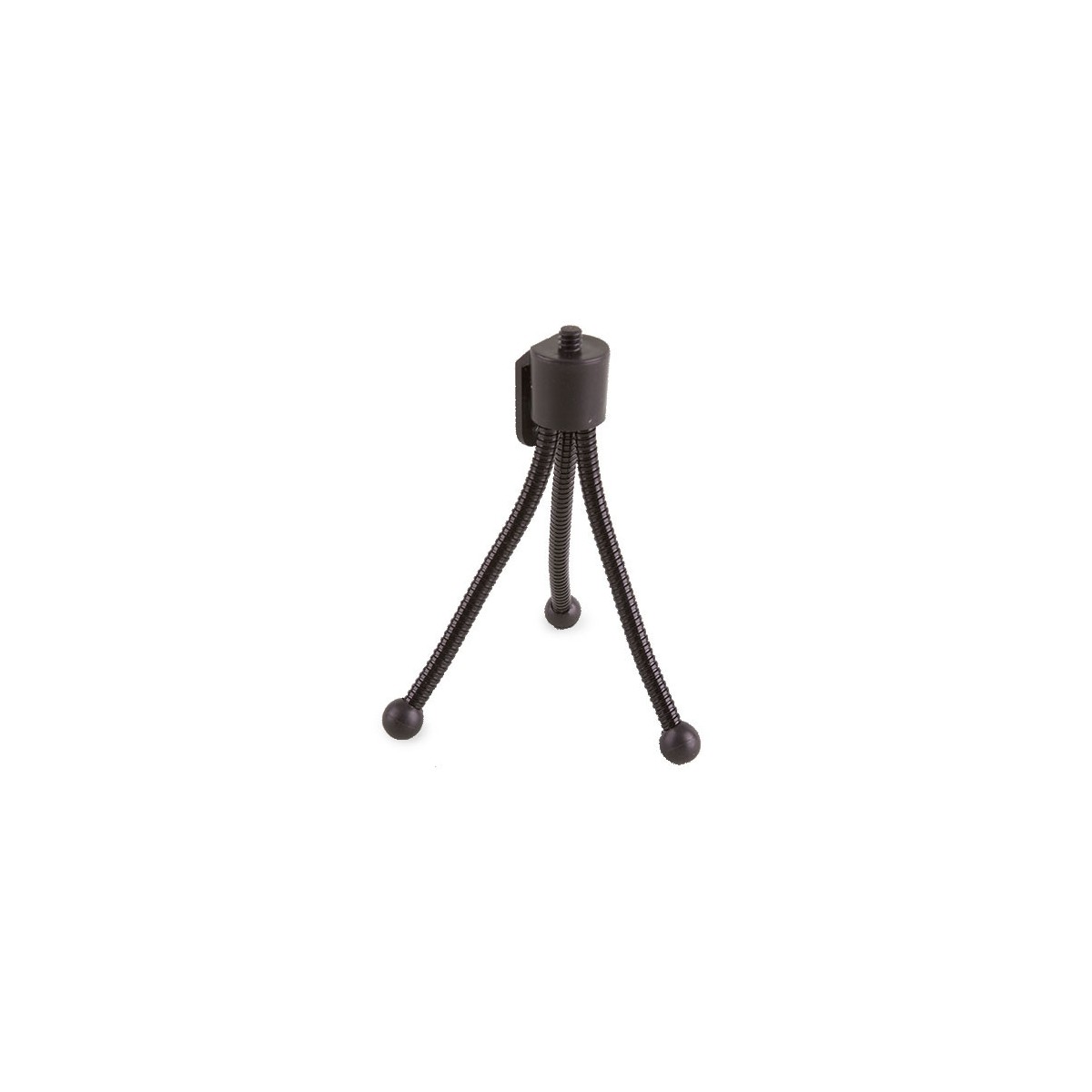 Z-794 Personalizzato | Prezzi Ingrosso