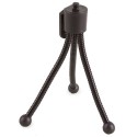 Z-794 Personalizzato | Prezzi Ingrosso