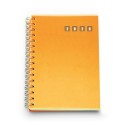 0284 - AGENDA GIORNALIERA POLIPROPILENE CM 15X21