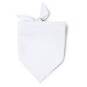 0852 TESEA - Bandana