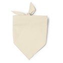 0852 TESEA - Bandana