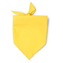 0852 TESEA - Bandana
