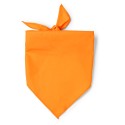 0852 TESEA - Bandana