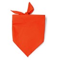 0852 TESEA - Bandana
