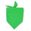 0852 TESEA - Bandana