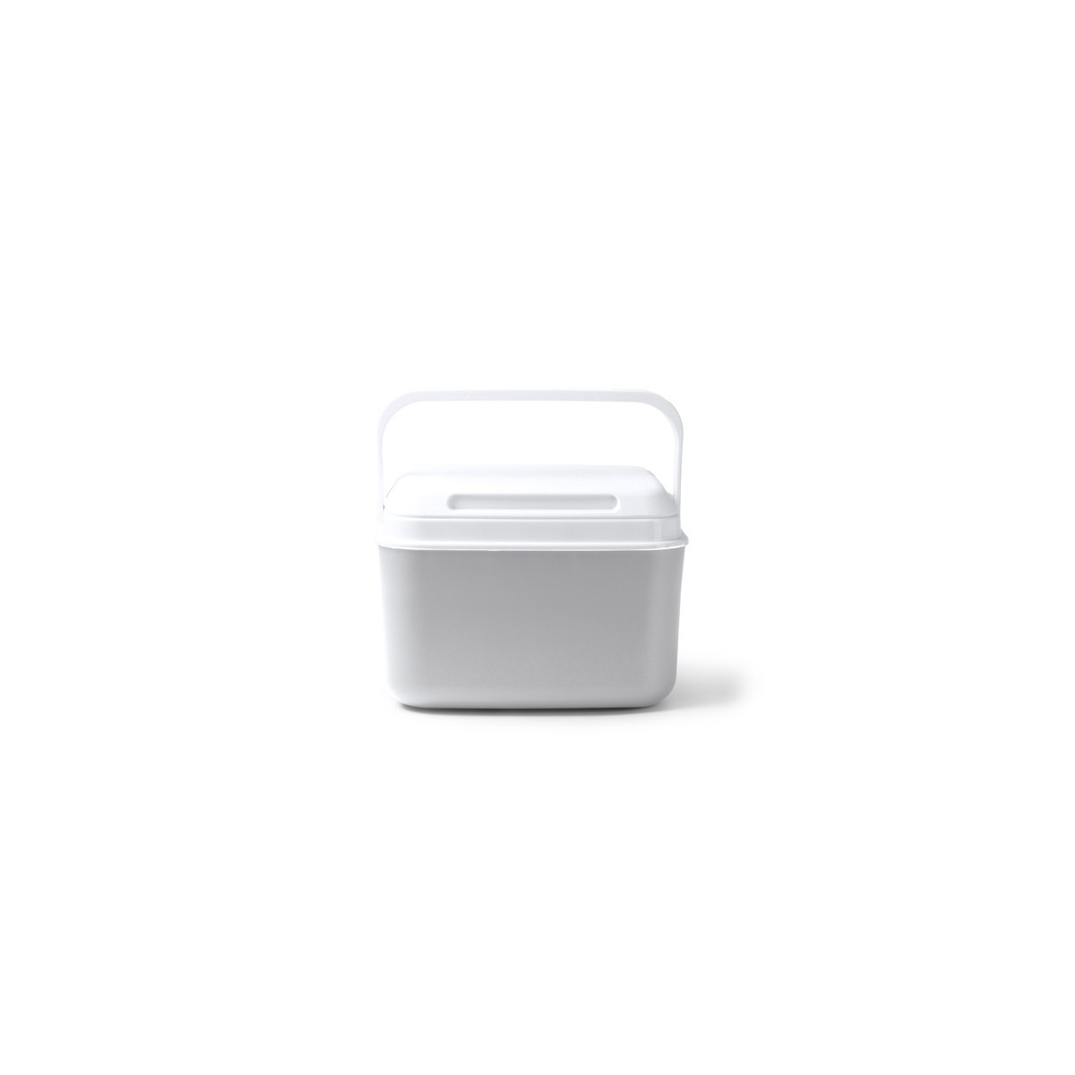 1104 BOITO - Borsa Frigo