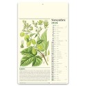 Erboristeria 31x52 cm Personalizzata | Prezzi Ingrosso