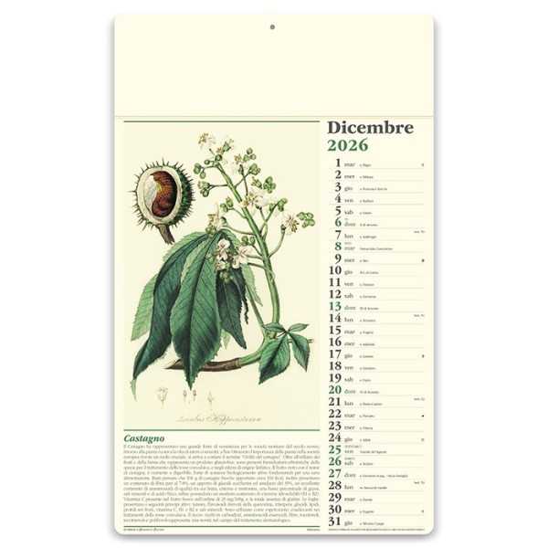 Erboristeria 31x52 cm Personalizzata | Prezzi Ingrosso