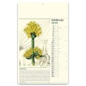 Erboristeria 31x52 cm Personalizzata | Prezzi Ingrosso