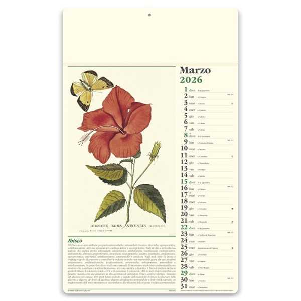 Erboristeria 31x52 cm Personalizzata | Prezzi Ingrosso