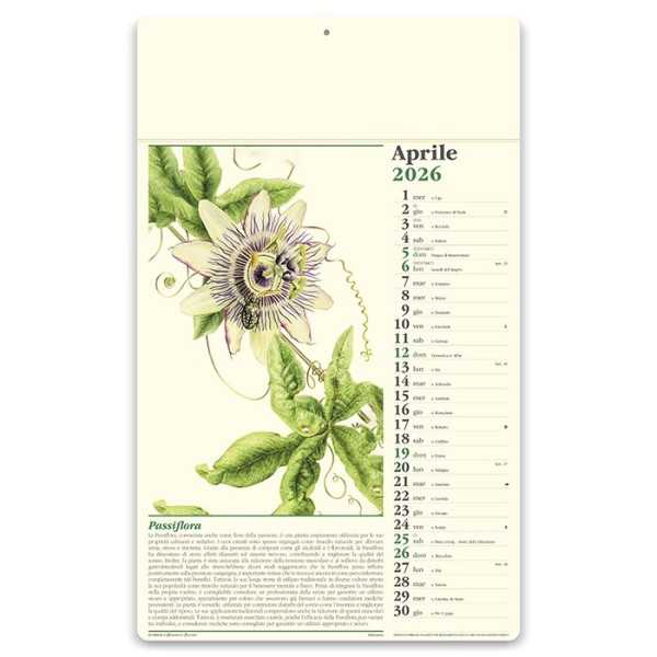 Erboristeria 31x52 cm Personalizzata | Prezzi Ingrosso