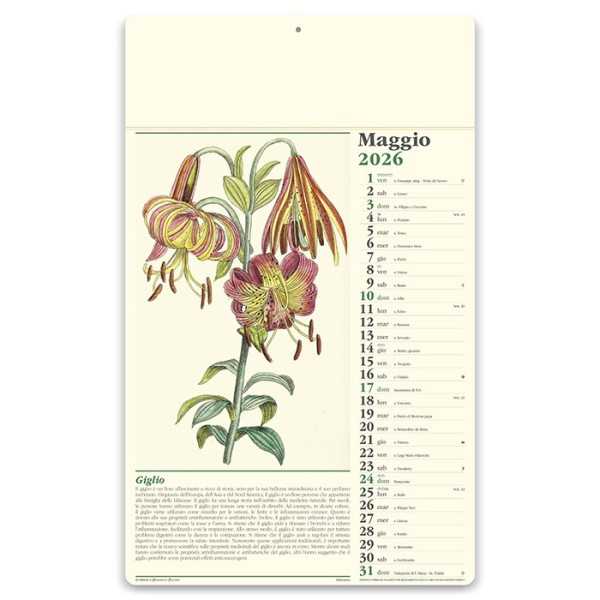Erboristeria 31x52 cm Personalizzata | Prezzi Ingrosso