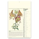 Erboristeria 31x52 cm Personalizzata | Prezzi Ingrosso
