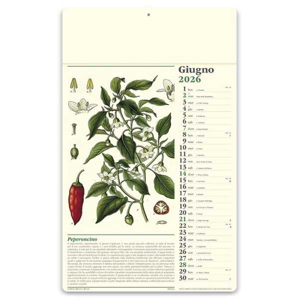 Erboristeria 31x52 cm Personalizzata | Prezzi Ingrosso