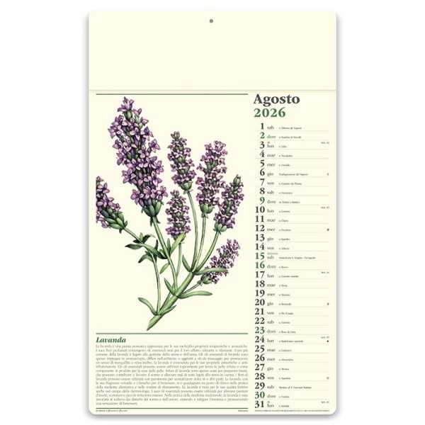 Erboristeria 31x52 cm Personalizzata | Prezzi Ingrosso