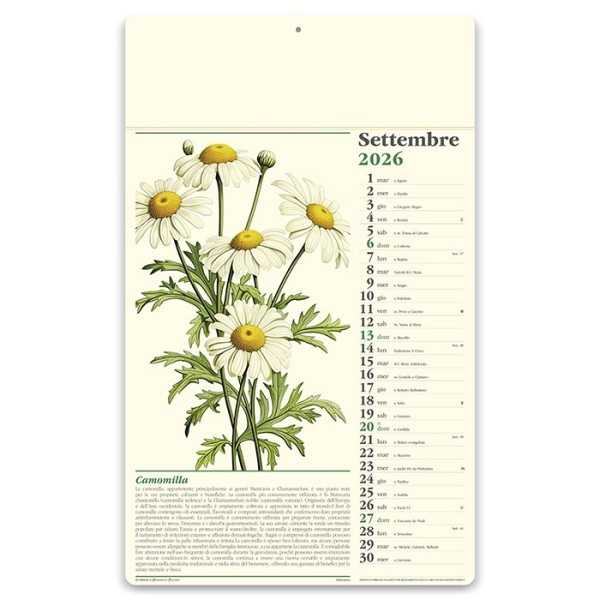 Erboristeria 31x52 cm Personalizzata | Prezzi Ingrosso