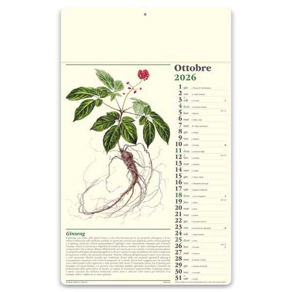 Erboristeria 31x52 cm Personalizzata | Prezzi Ingrosso
