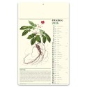 Erboristeria 31x52 cm Personalizzata | Prezzi Ingrosso