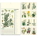 Erboristeria 31x52 cm Personalizzata | Prezzi Ingrosso