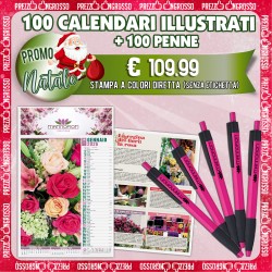 100 CALENDARI ILLUSTRATI + 100 PENNE