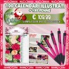 100 CALENDARI ILLUSTRATI + 100 PENNE