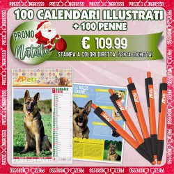 100 CALENDARI ILLUSTRATI + 100 PENNE