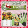 100 CALENDARI ILLUSTRATI + 100 PENNE