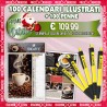 100 CALENDARI ILLUSTRATI + 100 PENNE