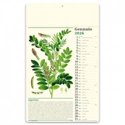 ERBORISTERIA