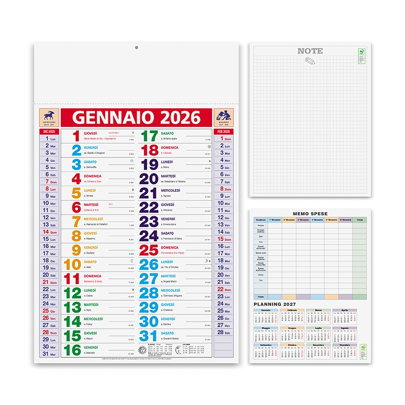 OLANDESE MULTICOLOR