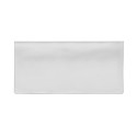 Voucher poliestere verde lime 5x13 cm Personalizzato | Prezzi Ingrosso