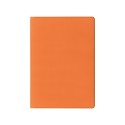 Lucky pvc verde 12x24 cm Personalizzato | Prezzi Ingrosso