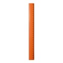 Dimensione plastica verde lime 31x3 cm Personalizzate | Prezzi Ingrosso