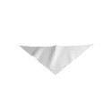 Triumph poliestere verde 99x66 cm Personalizzato | Prezzi Ingrosso