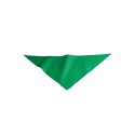 Triumph poliestere verde 99x66 cm Personalizzato | Prezzi Ingrosso